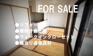 ルイシャトレ平野